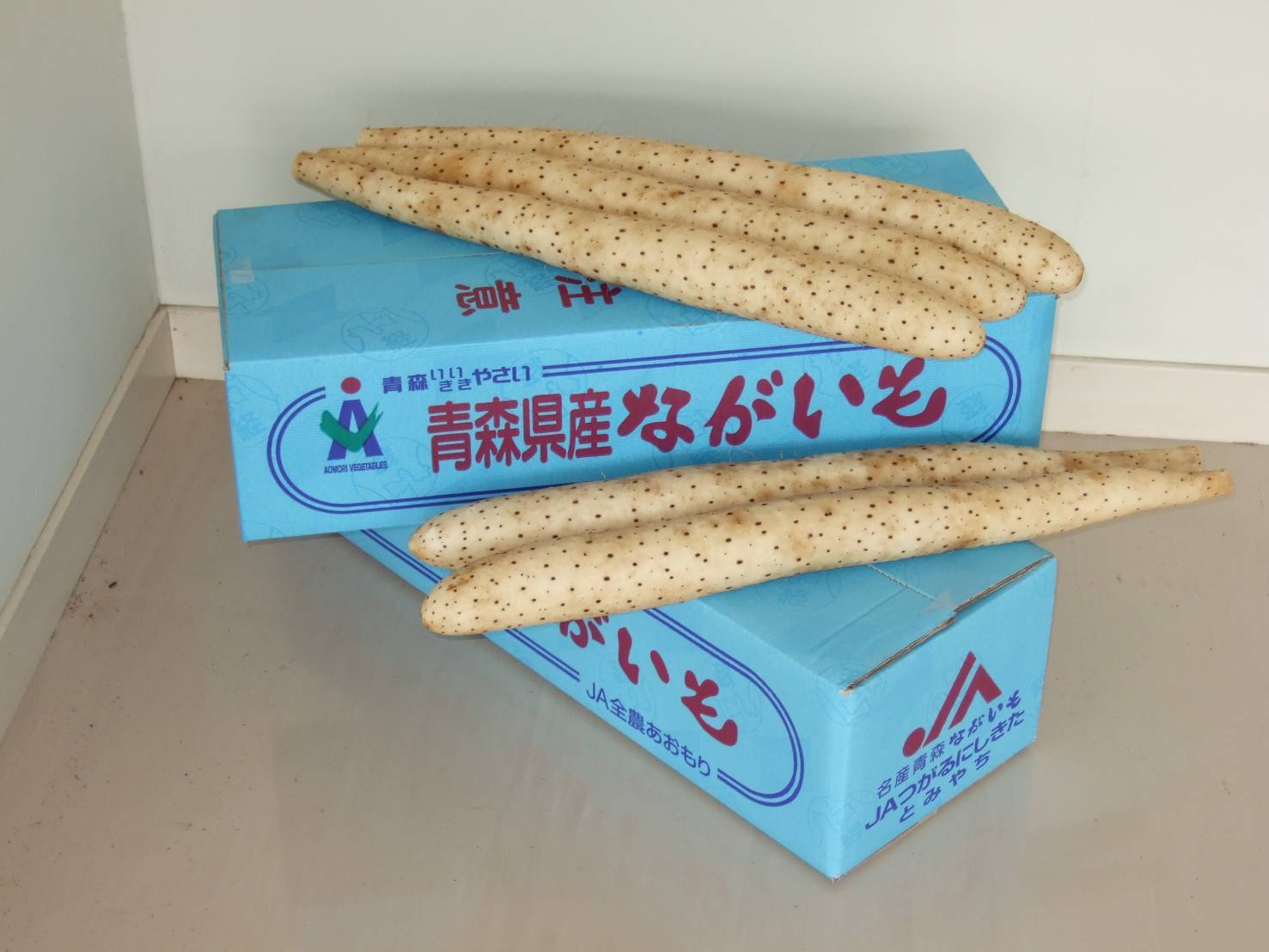 青森県産ながいも